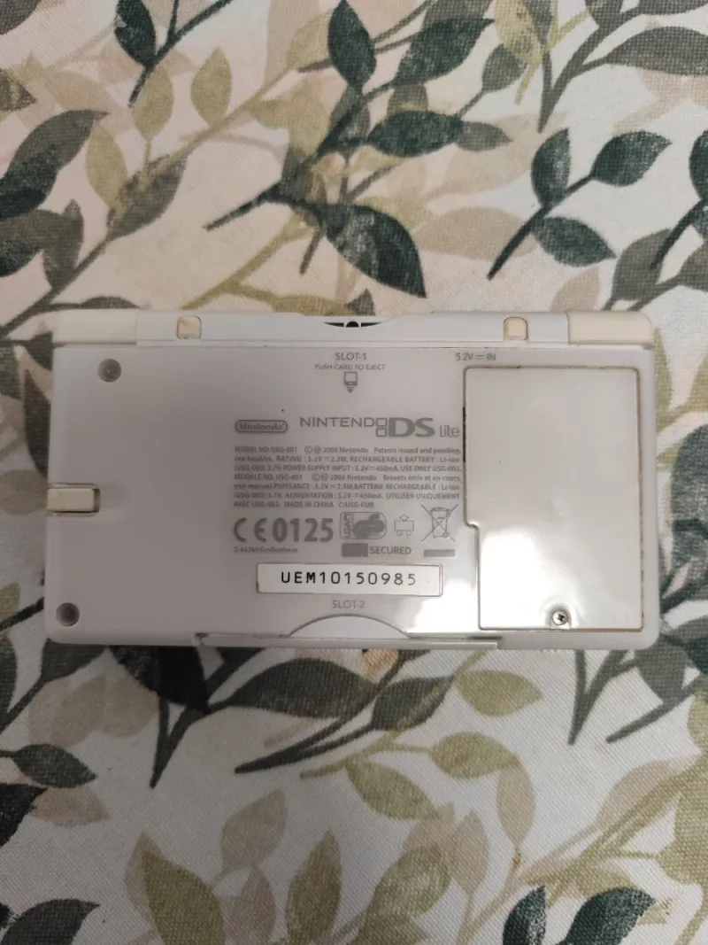 Nintendo DS Blanca afbeelding 6