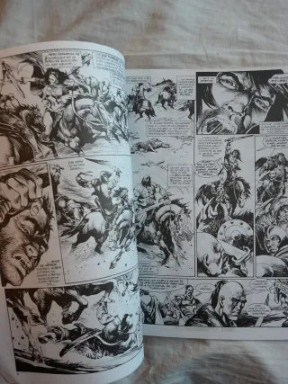 La espada salvaje de conan 154