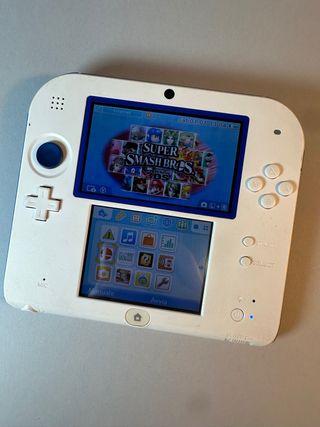 Nintendo 2DS Custom