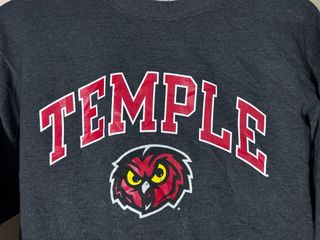 Sudadera Champion Temple Gris Talla S