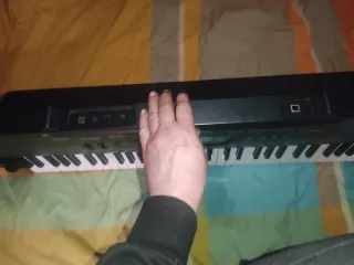 Teclado Casio CTK-3000