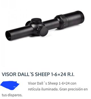 Visor Dall's Sheep 1-6x24 R.I.