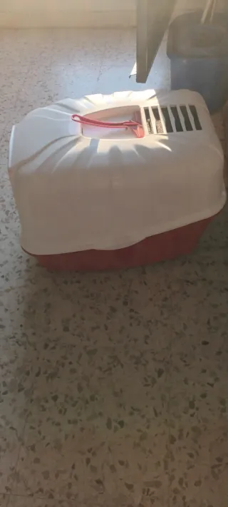 Arenero para gato con puerta