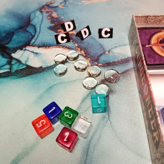 Dungeoneer enfundado + extras