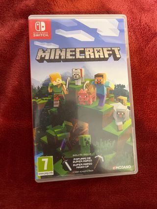 Minecraft Nintendo Switch