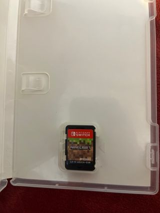 Minecraft Nintendo Switch