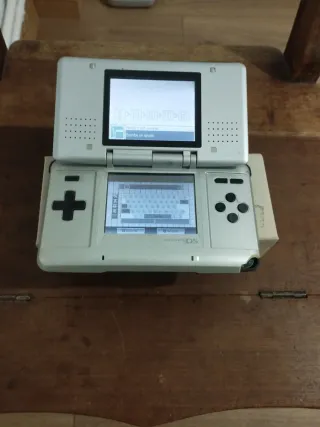 Nintendo DS Argento