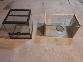 2 terrrarios , riego automatico y termostato