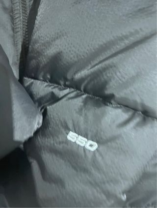 Abrigo The North Face Negro