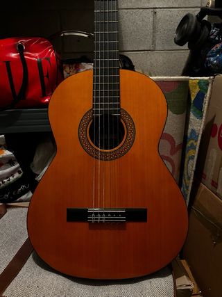 Guitarra profesional