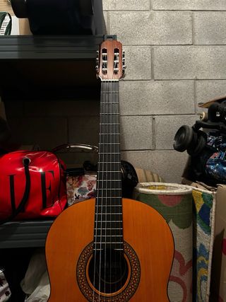 Guitarra profesional