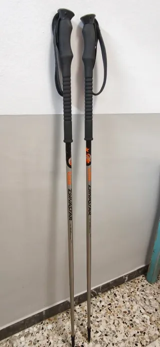 Bastones Freeride Dynastar Thom by Kerma