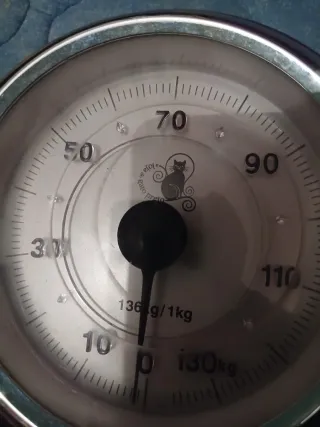 Báscula Mecánica Adler AD 8180