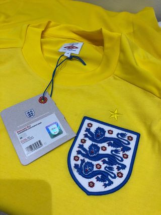 Camiseta Portero Inglaterra 2010-11 Umbro Amarilla