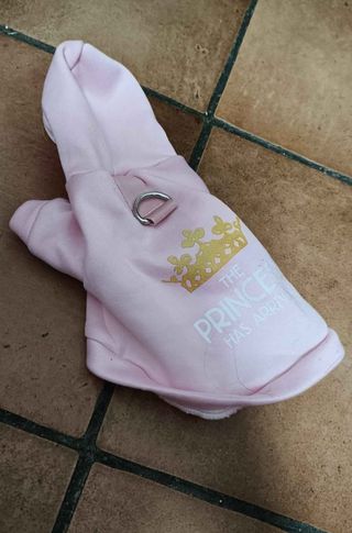 Pulisci zampe cane e accessori