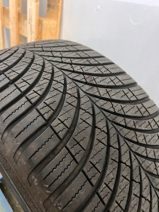 Neumático Goodyear Vector 4 Seasons 255/40 R20
