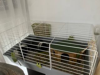 Jaula para hámster o cobaya