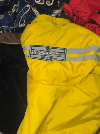 Chaqueta Sheckland Amarilla y Gris