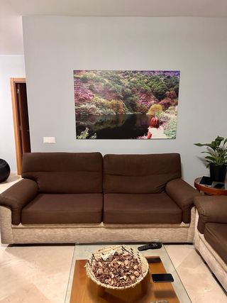 Sofás y sillón de piel marrón