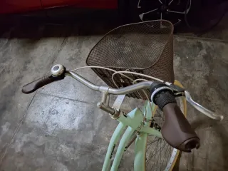 Bici paseo holandesa