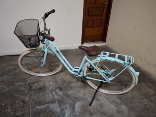 Bici paseo holandesa