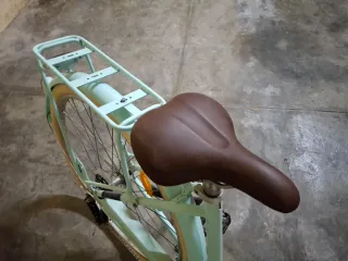 Bici paseo holandesa