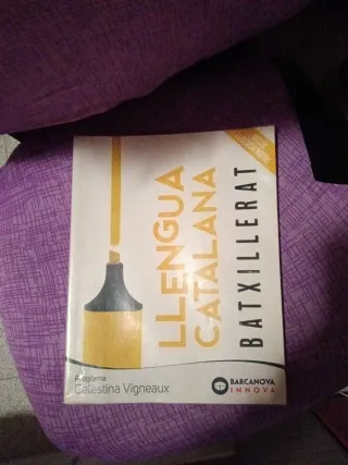 Celestina Vigneaux. Batxillerat. Llengua catalana