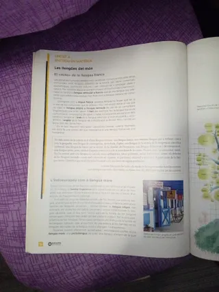 Celestina Vigneaux. Batxillerat. Llengua catalana