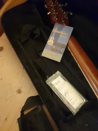 Washburn rover RO10N travel guitar, and case NEW