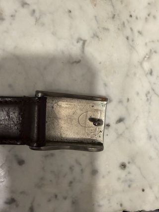 Cintura Dondup marrone fibbia rettangolare