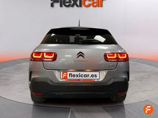 Citroën C4 Cactus BlueHDi 73KW (100CV) Business