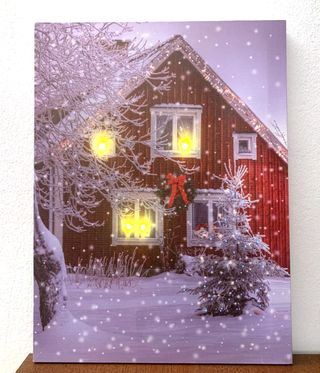 Quadri Luminosi 30 x 40 cm.