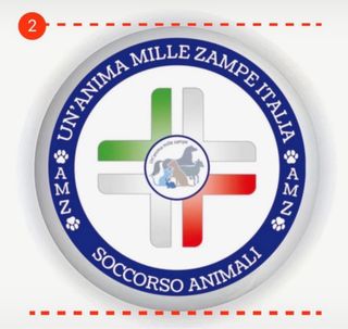 Spilla AMZItalia