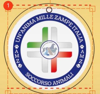 Portachiavi AMZItalia