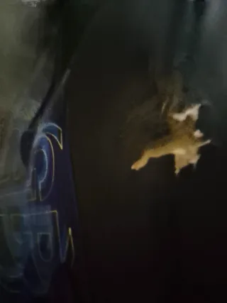 Moto Sonic 49cc Automática