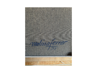 Cuadro Original Firmado Molina Ferrer 1995 Oleo