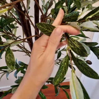 Olivo Artificial 180cm