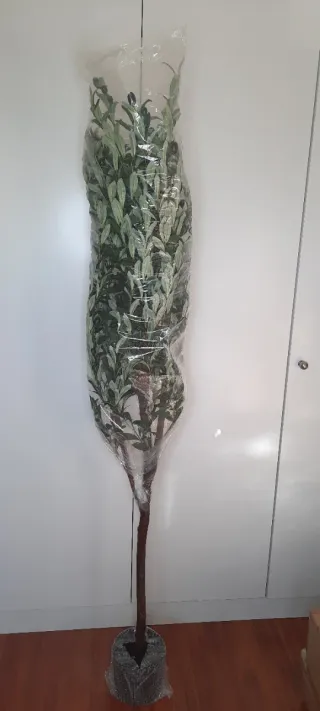 Olivo Artificial 180cm