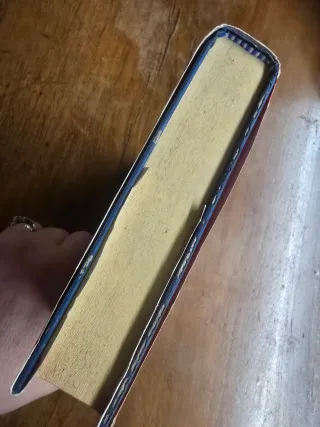Lidia Ravera, Maledetta Gioventù