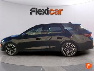 Cupra León SP 2.0 TSI 228kW (310 CV) 4Drive DSG