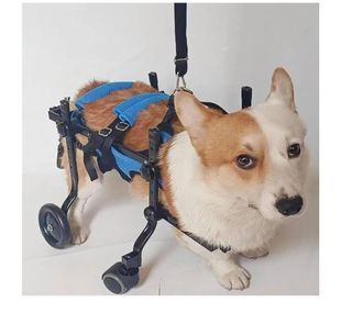 Silla de ruedas para perros ajustable