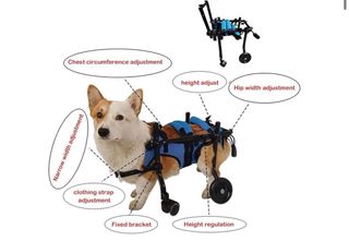 Silla de ruedas para perros ajustable