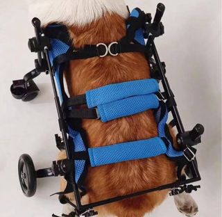 Silla de ruedas para perros ajustable