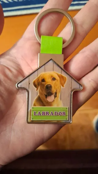 Llavero perro Labrador mascota en casa foto