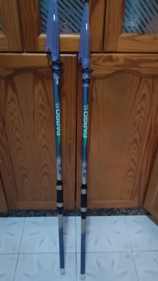 2 Cañas de Pesca PARGO 4.0