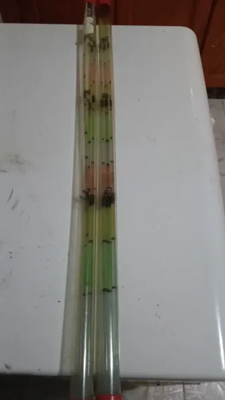 2 Cañas de Pesca PARGO 4.0