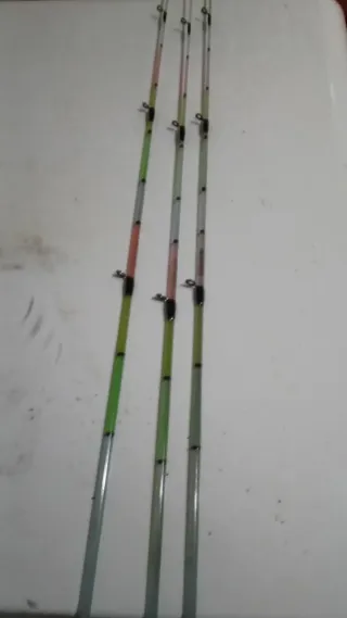 2 Cañas de Pesca PARGO 4.0