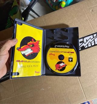 Wild Wild Racing PS2