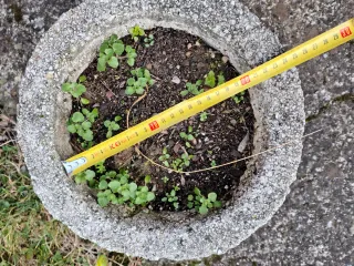 Macetas de piedra decorativas