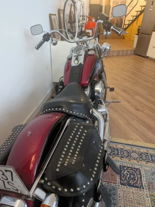 Harley Davidson Softail Custom